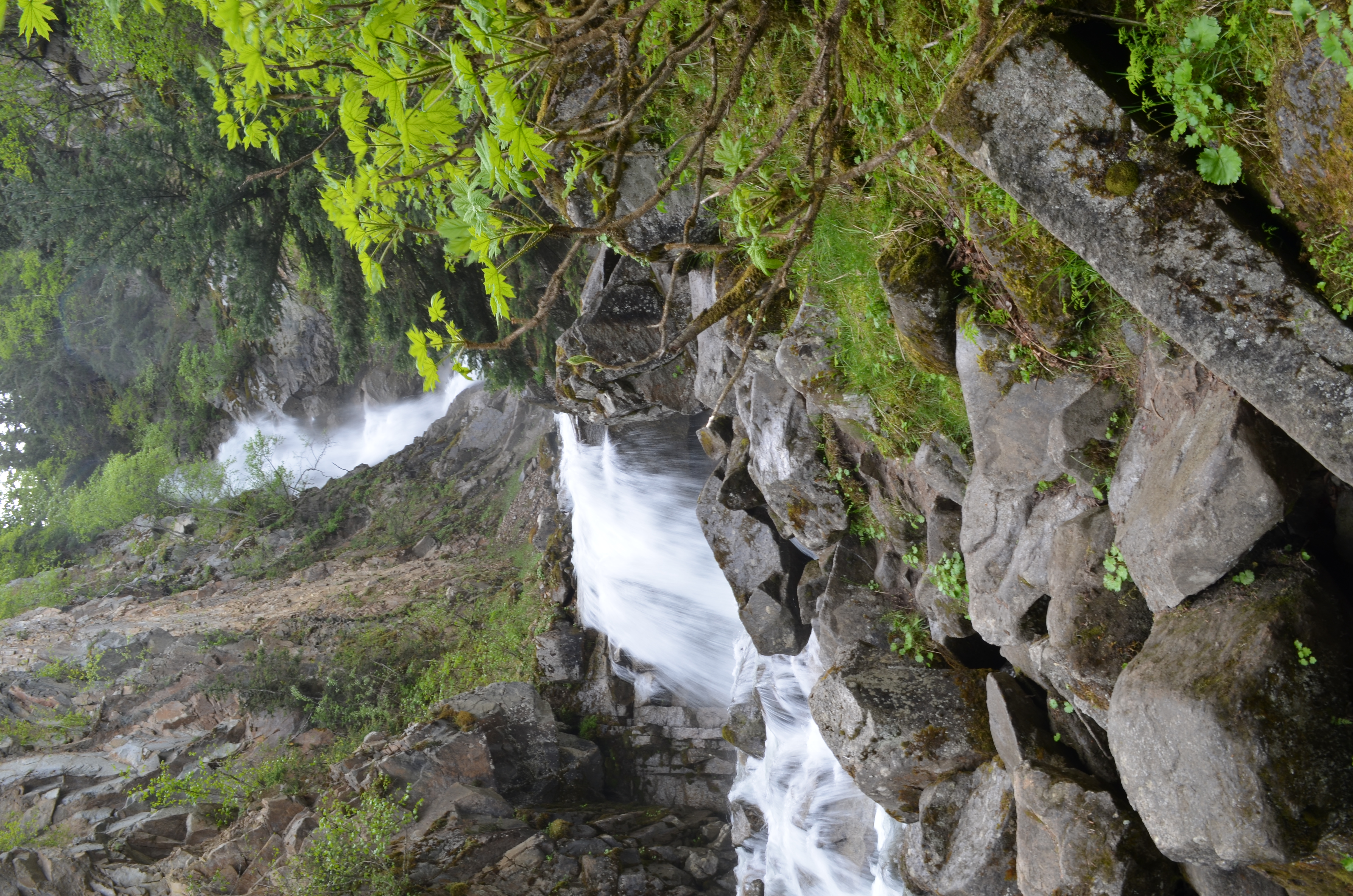 ./2017/08 - Alaska Cruise/09 - Skagway/DSC_0017.JPG